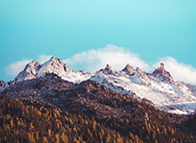 探索星空的新入口：xingkong.com带你走进知识与想象的宇宙